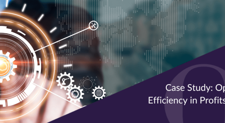 Case Study Optimising Tax Efficiency in Profits Repatriation