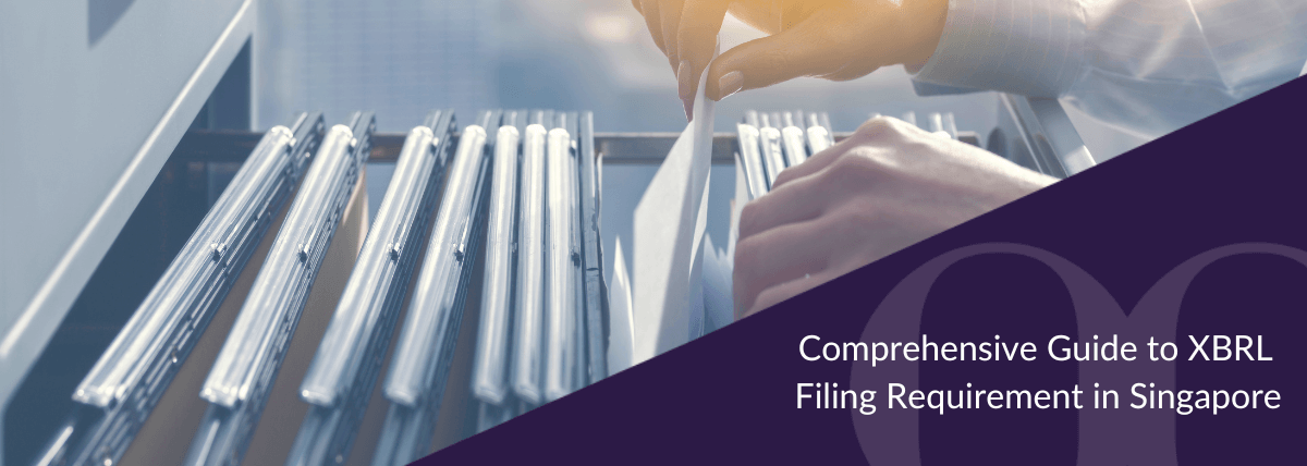 Comprehensive Guide to XBRL Filing Requirement in Singapore