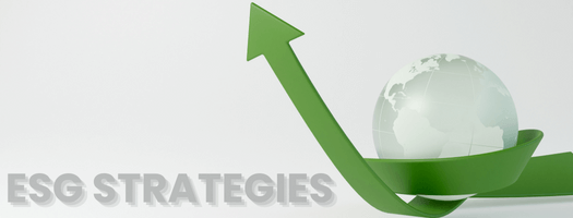 ESG Strategy ESG Strategy